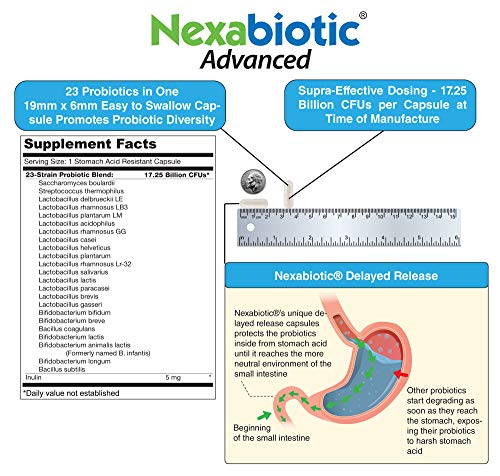 DrFormulas Nexabiotic 23 Multi Probiotic for Women & Men - 17.25 Billion CFUs with Lactobacillus Acidophilus & Bifidobacterium Infantis