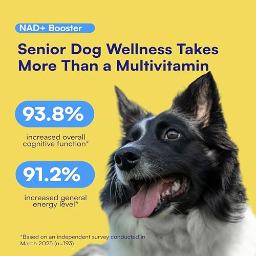 NAD+ Precursor & Senior Dog Supplement - 90 Soft Chews with NMN Alternative for Longevity, Anti-Aging & Energy - Nicotinamide Riboside, Resveratrol, Quercetin
