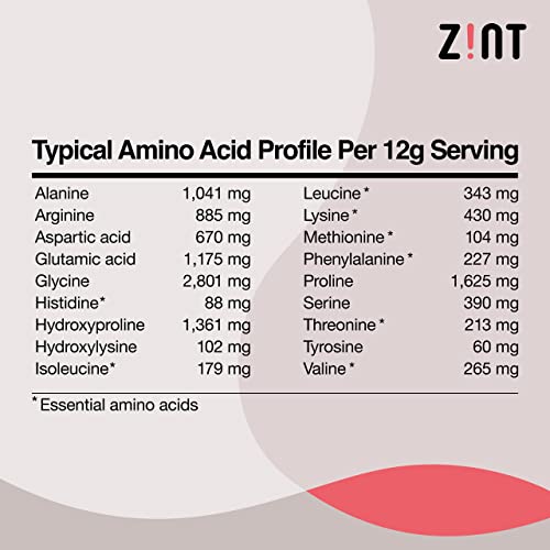 Zint Grass-Fed Hydrolyzed Collagen Peptides Powder (32 oz) - Unflavored, Keto & Paleo Friendly