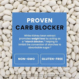 Night Time Fat Burner Gummies, Sleep Support & Weight Loss Supplement | Slimming Hunger Suppressant & Metabolism Booster, Shred Belly Fat While You Sleep | Nighttime Diet Gummies for Women & Men 60ct