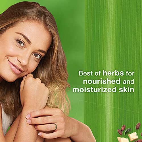 Himalaya Nourishing Skin Cream - 300ml Hydrating Daily Moisturizer