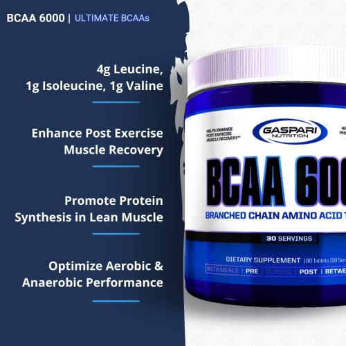 Gaspari Nutrition BCAA 6000 Powder for Muscle Recovery (240g)