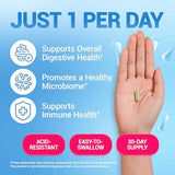 Dr. Berg's Probiotic Capsules - 60 Billion CFU with 10 Strains & Prebiotics - Digestive Health Support - 30 Capsules