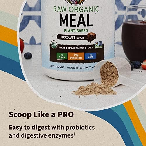 Garden of Life Raw Organic Chocolate Cacao Shake & Meal Replacement (1.1lbs)