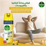 Dettol Multi-Purpose Disinfectant Spray - Citrus Scent (450ml)
