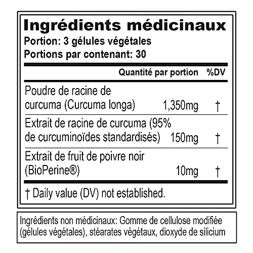 Evlution Nutrition Turmeric 1500 - 90 Veggie Capsules for Joint & Immune Support with High-Potency Curcumin