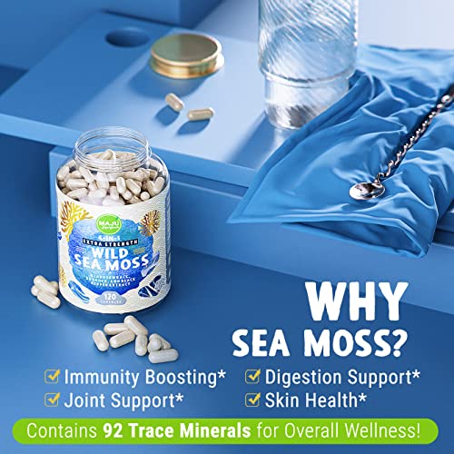 Maju Superfoods Wild Irish Sea Moss Capsules, 4-in-1 with Bladderwrack & Burdock Root, Sebi Inspired Organic Seamoss Pills (120 ct)