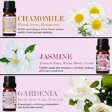 SALKING Essential Oil Set - 6 x 10ml Premium Aromatherapy Oils