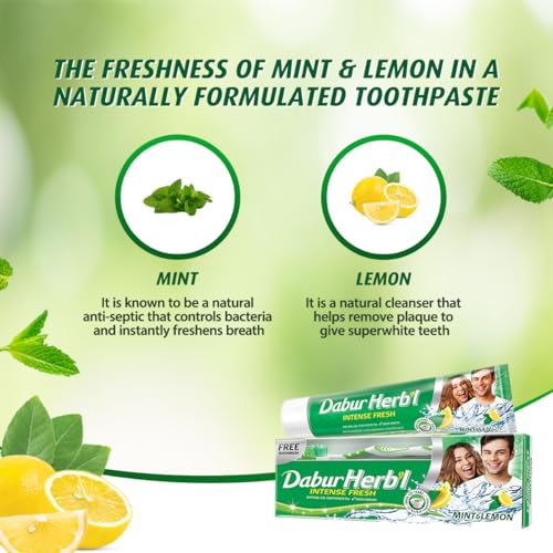 Dabur Herbal Intense Fresh Gel Toothpaste with Mint & Lemon (150g + Toothbrush)