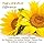 Life-flo Organic Sunflower Oil: Moisturizing & Massage Oil for Skin & Body