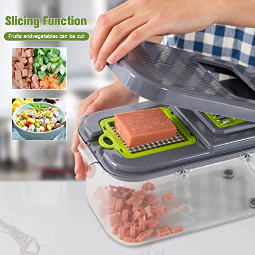 22-in-1 Vegetable Slicer & Onion Chopper - Multi-Blade Food Cutter with Drain Rack