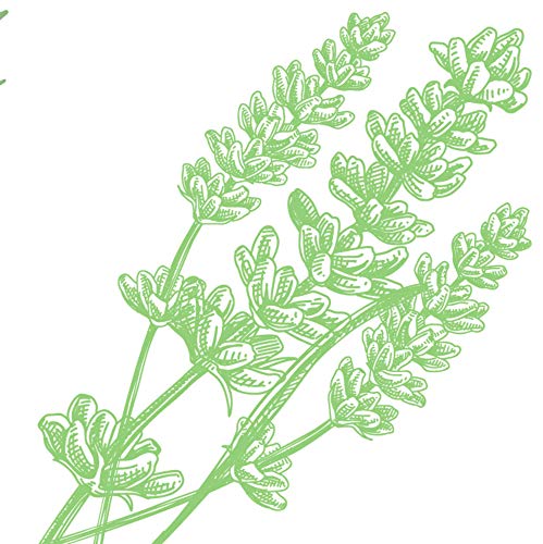 ARM & HAMMER Essentials Rosemary Lavender Deodorant - Aluminum-Free, Natural Deodorizers - 2.5oz