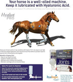Hyalogic Hyaluronic Acid Equine Joint Supplement - Oral Syringe