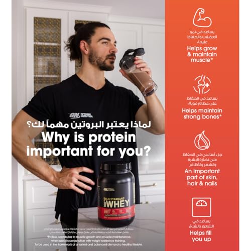 Optimum Nutrition Gold Standard 100% Whey Protein Powder - Double Rich Chocolate, 1 Lb (14 Servings)