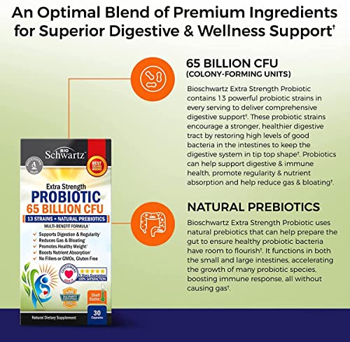Probiotic 65 Billion - With Prebiotic for Women & Men | Digestive Health Capsules