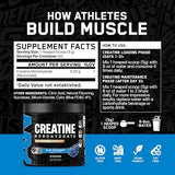 Applied Nutrition ABE Creatine Monohydrate Powder - 60 Servings, Micronized, Sugar-Free & Keto Friendly