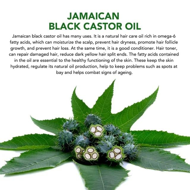 Jamaican Black Castor Oil 100% Pure Cold-Pressed Organic for Hair Growth, Eyelashes, Eyebrows & Scalp - Natural Hydrating Oil for Skin, Split Ends & Body Massage - Vegan, Cruelty-Free 60ml