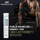 Steadfast Nutrition SteadCreatine | Pink Lemonade Flavored Creatine Monohydrate | Pack of 1