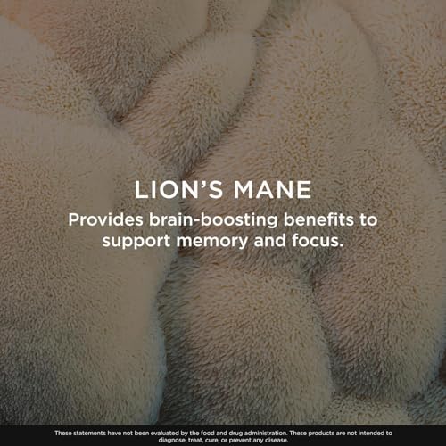 Lions Mane Nootropic Supplement Capsules, Organic, 1200mg Focus & Memory Support
