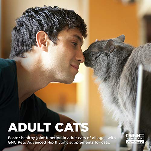 GNC Pets Advanced Hip & Joint Cat Supplements - 60 Soft Chews