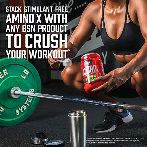BSN Amino X Fruit Punch 70 Servings BCAA Recovery Support