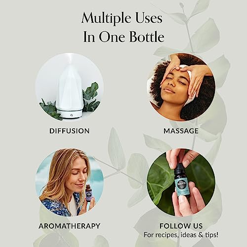 Edens Garden Friends and Family Limited Edition Holiday Essential Oil Synergy Blend – 100% Pure Therapeutic Grade Aromatherapy, 10 ml