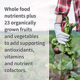 Garden of Life Vitamin Code Women's Multivitamin - Raw Whole Food Nutrition (120 Veggie Caps)