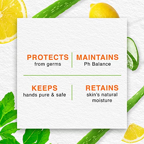 Himalaya Purehands Hand Wash - Tulsi & Lemon, 750ml (3x250ml), Germ Protection, Liquid Soap