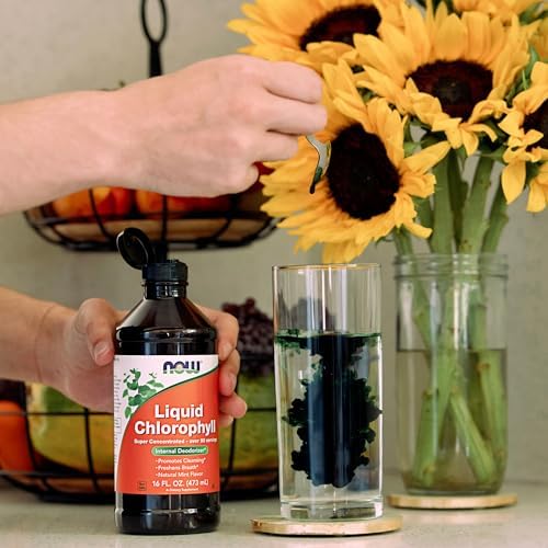 Now Foods Supplements Liquid Chlorophyll Super Concentrated Internal Deodorizer Boost Energy Mint Flavor 16 Ounce