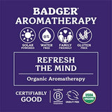 Badger Headache Soother Aromatherapy Balm - Organic Headache Relief