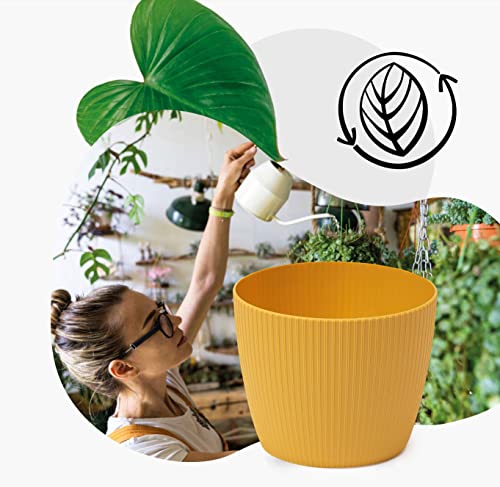 3-Pack Matte Mustard Plastic Flower Pots (16cm Diameter) - Large Decorative Herb Planters