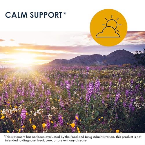 Metabolic Maintenance 5-MTHF 2.5 mg 90 Capsules - Methyl Folate Support