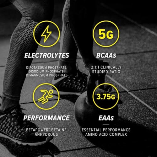 Cellucor Alpha Amino Performance BCAAs – Icy Blue Razz – 13.4oz (381g) – BCAAs + EAAs for Recovery & Performance