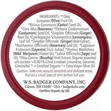 Badger Cayenne & Ginger Sore Muscle Rub - Powerful Pain Relief