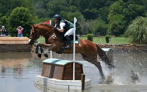 Hyalogic Equine Hyaluronic Acid (HA) Joint & Cartilage Supplement for Horses