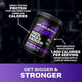 MuscleTech Mass Gainer | 100% Mass Gainer Protein Powder | Protein Powder for Muscle Gain | Whey Protein + Muscle Builder | Weight Gainer Protein Powder | Creatine Supplements | Chocolate, 5.15 lbs