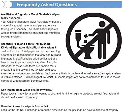 Kirkland Signature Flushable Moist Wipes - 632 Count White Fast Clean