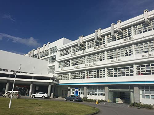 Choline Kinase 10 Grams - High-Purity Supplement for Cognitive & Metabolic Support