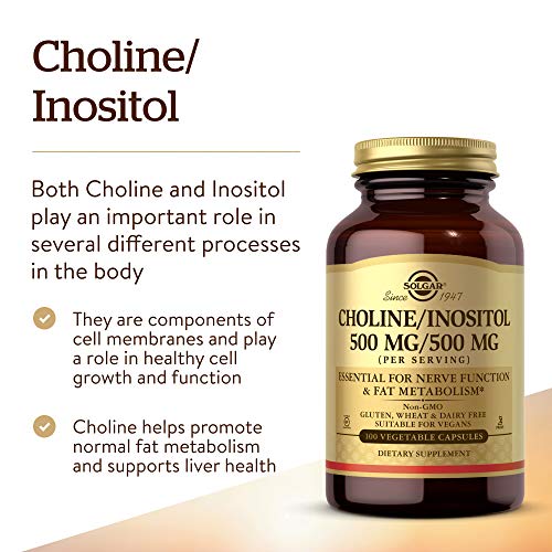 Solgar Choline/Inositol 500 Mg - 100 Vegetable Capsules | Brain & Nervous System Support