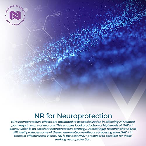 Nootropics Depot Nicotinamide Riboside Capsules 300mg | NAD+ Precursor