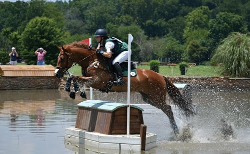 Hyalogic Hyaluronic Acid Equine Joint Supplement for Horses (Oral Syringe)