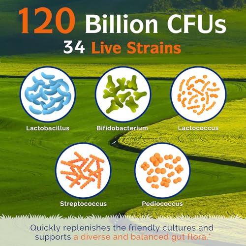 Innate Vitality 3-in-1 Probiotic – 120 Billion CFU with 34 Strains