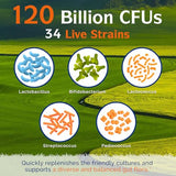 Innate Vitality 3-in-1 Probiotic – 120 Billion CFU with 34 Strains