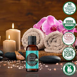 Organic Eucalyptus Essential Oil 30 ml – 100% Pure USDA Organic for Aromatherapy & Natural Home Care