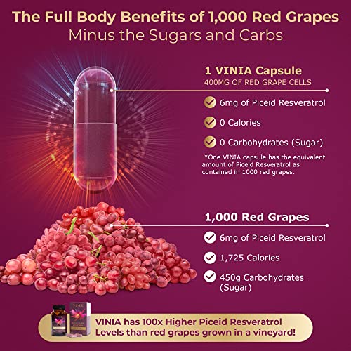 VINIA Blood Flow Superfood - Sustained Release Piceid Resveratrol from Red Grapes