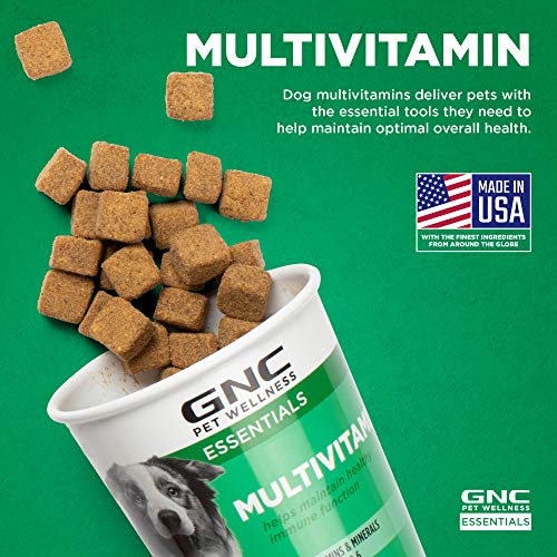 GNC Pets Essentials Dog Multivitamin Soft Chews with Salmon Oil, 60 Count