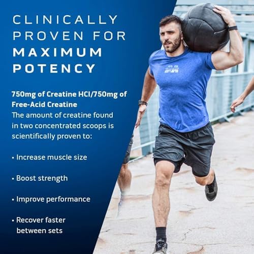 Muscletech, Creactor, Creatine HCl Formula, Fruit Punch Extreme, 9.51 oz (269 g)