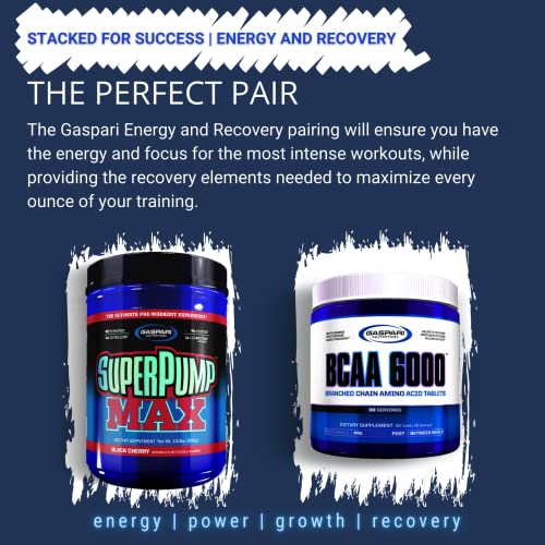 Gaspari Nutrition BCAA 6000 Powder for Muscle Recovery (240g)
