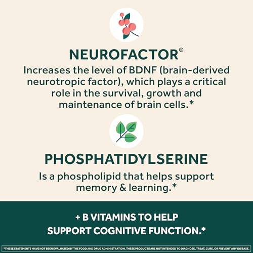 NEURIVA Plus Brain Supplement for Memory, Focus & Concentration with B6, B12, Phosphatidylserine & Neurofactor – 30 Capsules