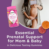 Centrum Prenatal Multivitamin Gummies with DHA and Folic Acid, Mixed Berry Orange, 60 Gummies